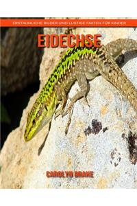 Eidechse