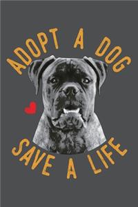 Adopt A Dog Save A Life