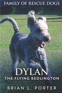 Dylan - The Flying Bedlington