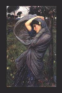 Planificador Boreas