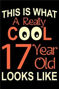 A Really Cool 17 Year Old