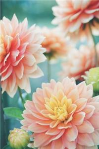 Flower Journal