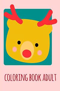 coloring book adult