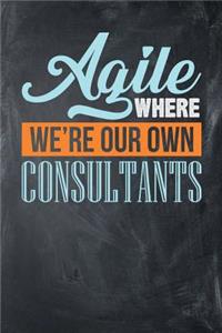 Agile Where We're Our Own Consultants