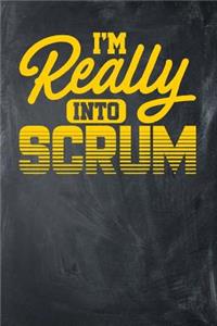 I'm Really Into Scrum