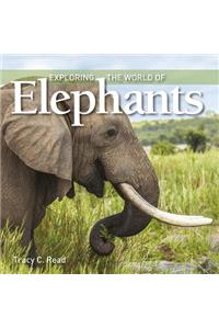 Exploring the World of Elephants