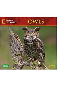 National Geographic Owls 2018 Wall Calendar