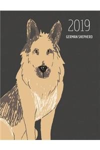 2019 German Shepherd