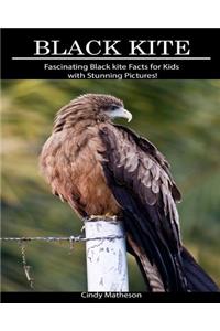 Black Kite: Fascinating Black Kite Facts for Kids with Stunning Pictures!