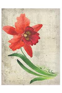 French Orchid - Oversized 8.5x11, 150 Page Lined Blank Journal Notebook