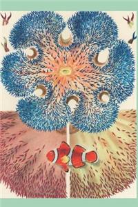 The Great Barrier Reef Journal