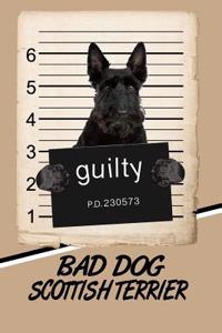 Bad Dog Scottish Terrier