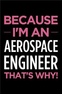Because I'm an Aerospace Engineer That's Why