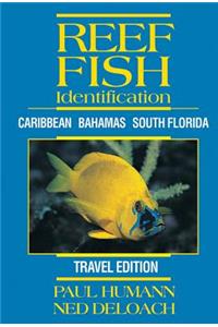 Reef Fish Identification: Caribbean Bahamas South Florida