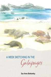 Week Sketching in the Galapagos