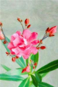 Pink Flowers - Lined Notebook with Margins