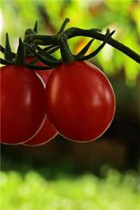Tomatoes Notebook