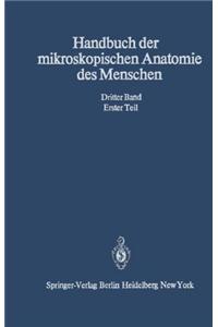 Haut und Sinnesorgane