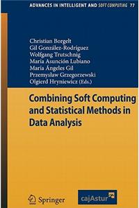 Combining Soft Computing and Statistical Methods in Data Analysis