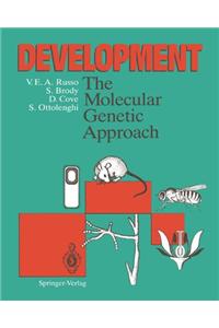 Development