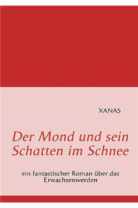 Mond und sein Schatten im Schnee