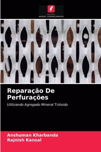 Reparação De Perfurações