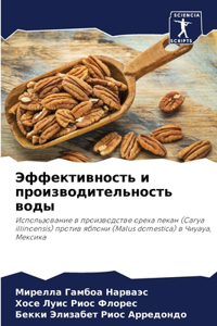 Эффективность и производительность вод