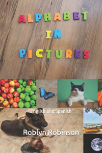 Alphabet in pictures