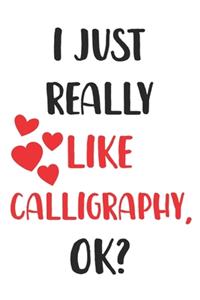 I Just Really Like Calligraphy, Ok? Gift For Men, Women, Kids, Cute Notebook a Beautiful