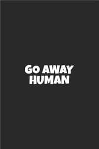 angry-cat go away human