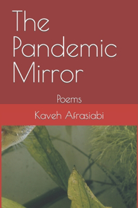 Pandemic Mirror