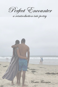 Perfect Encounter: a reintroduction into poetry