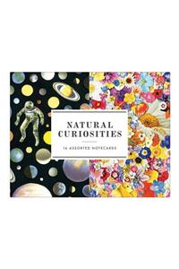 Natural Curiosities Greeting Assortment Notecards