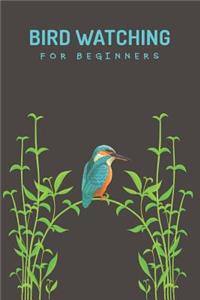 Bird Watching For Beginners
