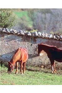 Horse Photo School Composition Book Equine Horses Pasture