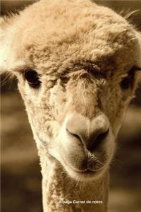 Alpaga Carnet de notes