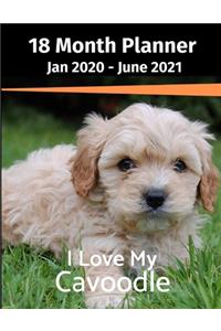 Jan 2020 - June 2021 18 Month Planner