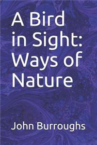 A Bird in Sight: Ways of Nature