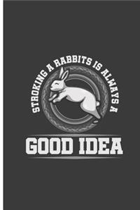 Stroking A Rabbit Is Always A Good Idea