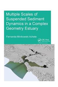 Multiple Scales of Suspended Sediment Dynamics in a Complex Geometry Estuary