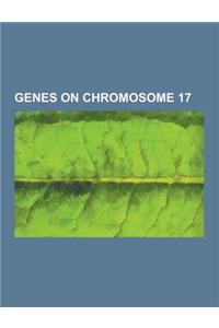 Genes on Chromosome 17