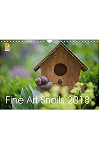 Fine Art Snails 2018 2018