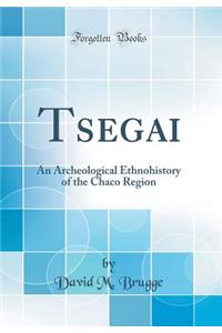 Tsegai: An Archeological Ethnohistory of the Chaco Region (Classic Reprint)