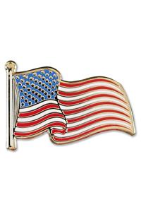 Enamel Pin USA Flag