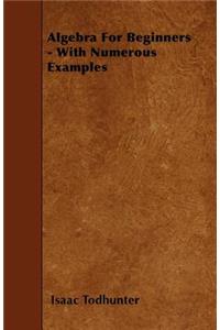 Algebra for Beginners - With Numerous Examples