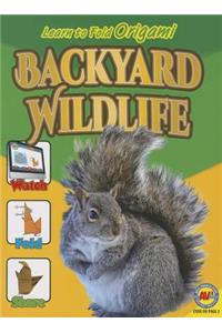 Backyard Wildlife