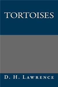 Tortoises