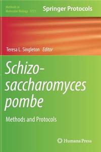 Schizosaccharomyces Pombe