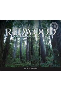 Welcome to Redwood National and State Parks