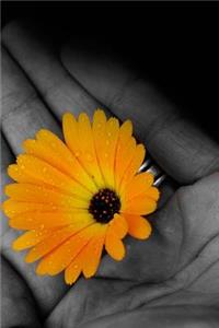 Mind Blowing Flower In Hard Journal